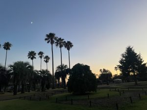 夜の動物園